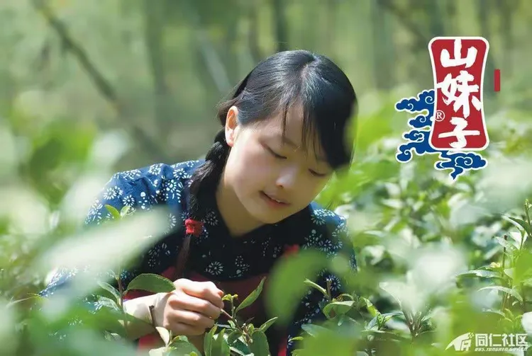 【原创】·山妹子