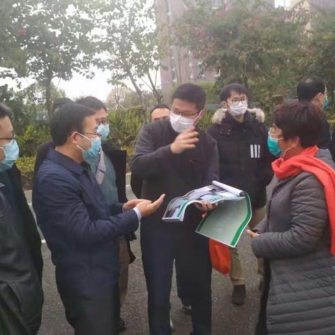 区政府梁栋区长会同市园林中心杨晓局长推进新一轮城市品质提升工作活动