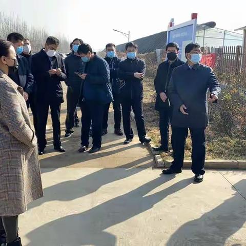 【铜冶镇】区委书记杨国芳带队调研督导铜冶项目建设