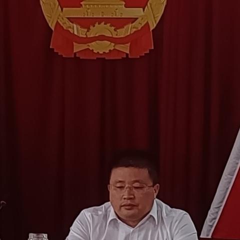 扒齿港镇召开学习贯彻习近平总书记“七一”重要讲话精神以及县第十三次党代会报告专题宣讲报告会