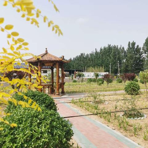 【扒齿港镇】基层党组织全面创A工作有序推进