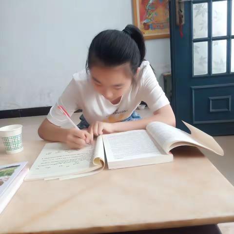 豫灵二中七（四）班       暑期学习不放松