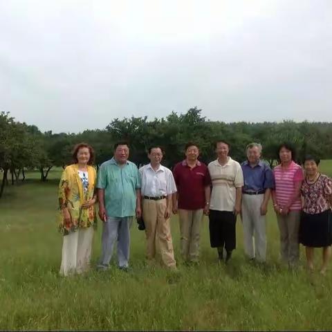 鹤城吟社诗词集锦（暮年携手伴诗行）