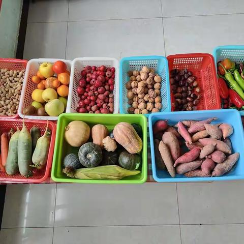 蓝天幼儿园大二班晒秋活动