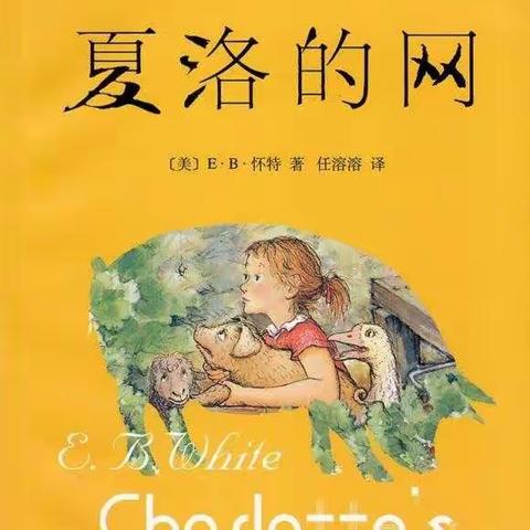 推荐一本书