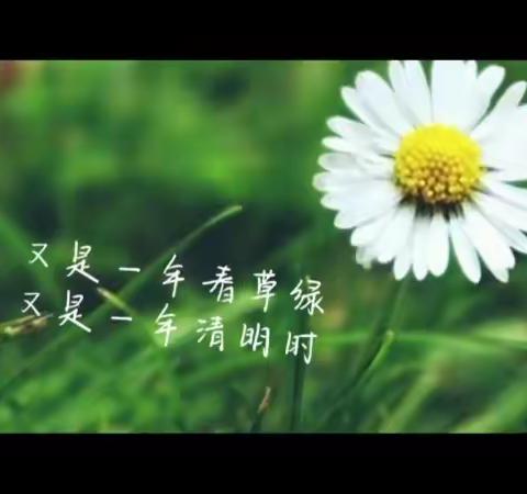 倡导文明祭祀——一束鲜花寄相思…