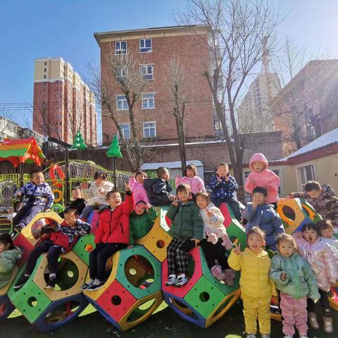 🌸花的成长之旅