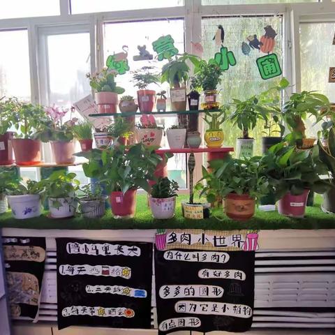 探索玩玩乐之豆子与水相遇