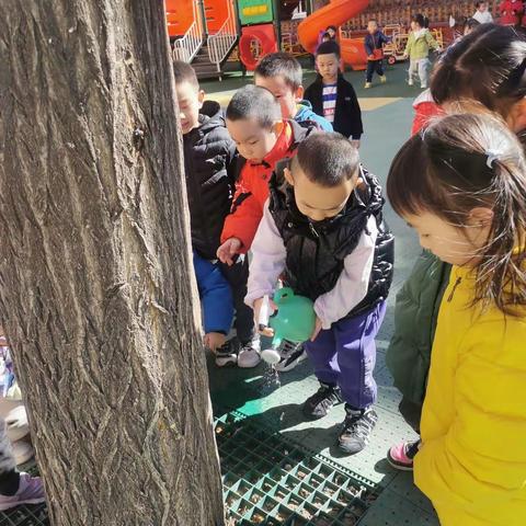 三月新语心相印之“树”立形象