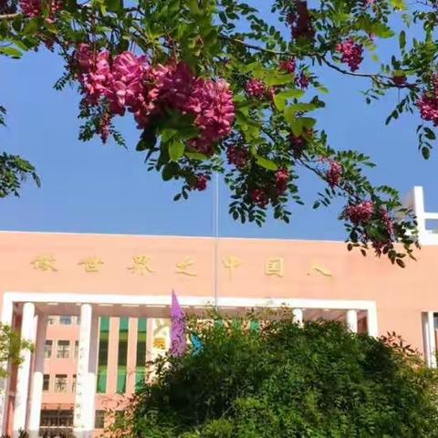 线上教学进行时，“云端”学习同精彩--临沭县第三实验小学英语组教研活动