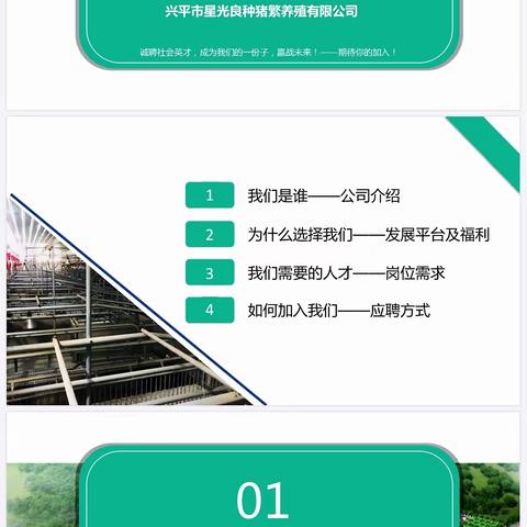 兴平市星光现代化母猪场招聘