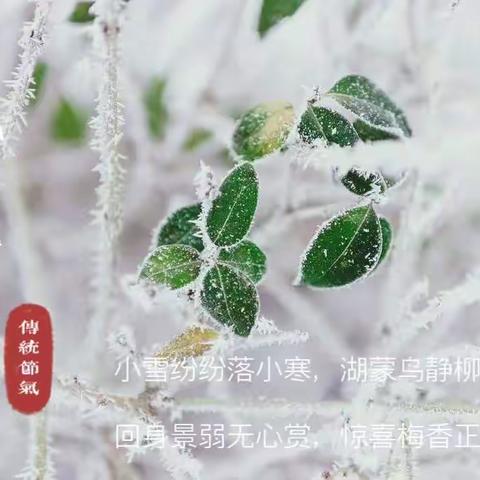 小寒至！天地渐寒，唯心渐暖！——徐州市第二实验幼儿园小寒节气活动