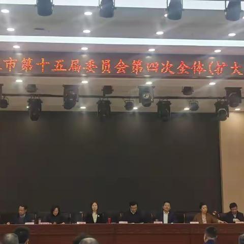 民建黄陂区工委参加民建武汉市委全委会，集体与个人荣誉双丰收