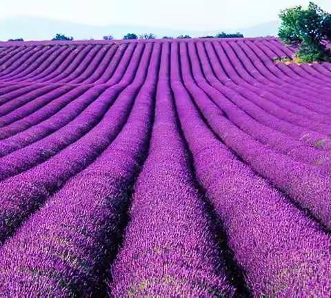 欧洲四国自驾游沿途风景