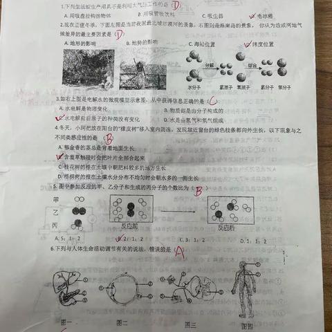 周一科学独立作业答案，请认真订正，做好摘记，并做好错题整理。