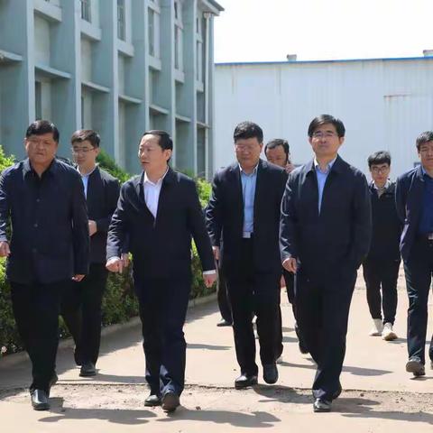 市委副书记、市长王浩到枳沟镇调度安全生产、生态环保治理等工作