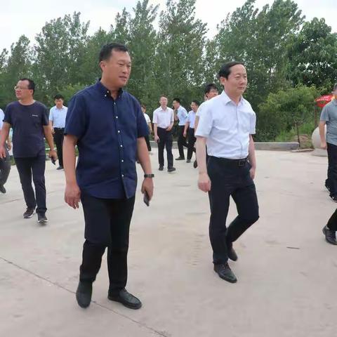 市委副书记、市长王浩到枳沟镇调度潍河干流防汛工作