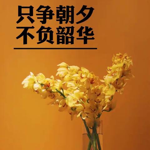 只争朝夕 不负韶华||宅家乐学 成长不延期