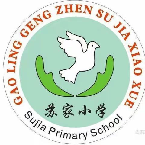 苏家小学第二周工作简报