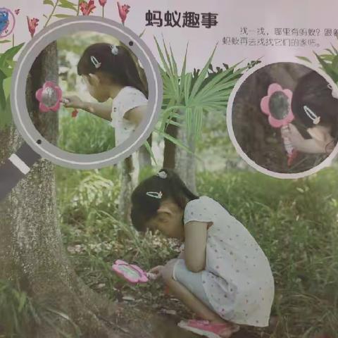 👪👪苹果🍎二班学习内容