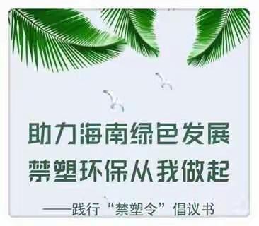 海口市第三十三小学“生活垃圾分类，禁塑从我做起”  主题宣传活动