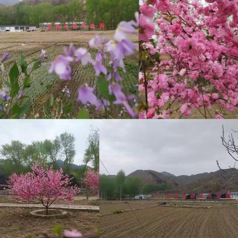 接种新冠疫苗，守护健康家园——灵丘县下关乡卫生院