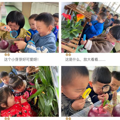 你好，水宝宝——记巩义市陇海花苑幼儿园小三班班本课程活动