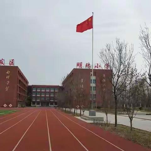 疫情路上 异样风景 —— 明珠小学线上教学掠影