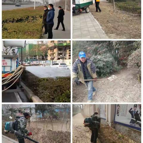 【园林绿化党支部】提升绿化品质 焕发城市活力