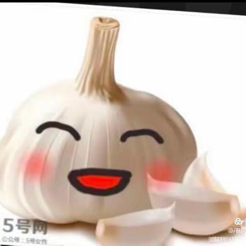 望连庄幼儿园居家教育指导—《剥大蒜》