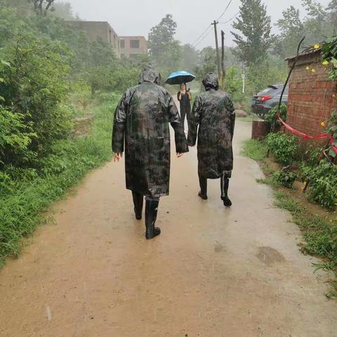 党员本色 ——风雨中的坚守