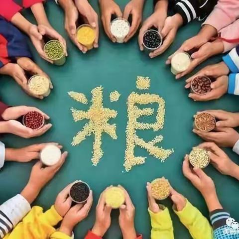 徐州市第二实验幼儿园倡议活动——— 节约粮食从我做起