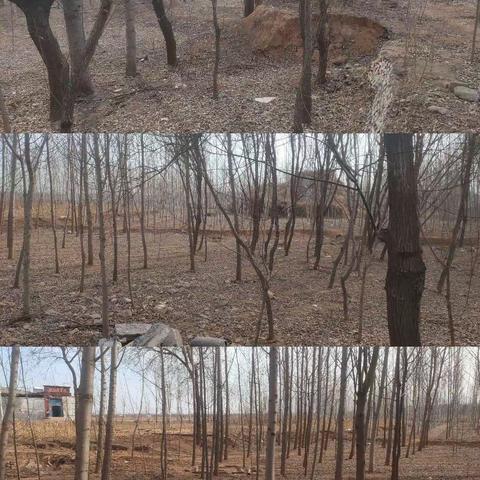 大寺上镇的美篇