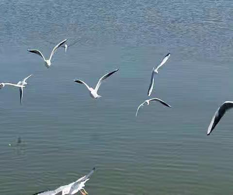 兴蒙分院7月家庭随访