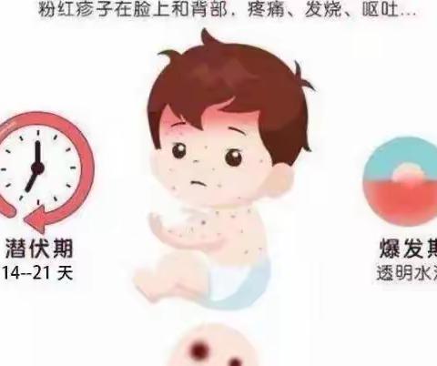 【秋季传染病预防】师大二附小秋季传染病预防小知识分享