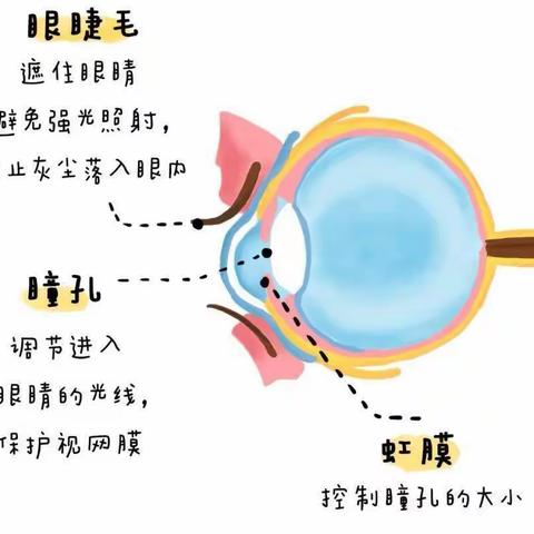 师大二附小——光明护航 共同呵护孩子视力健康