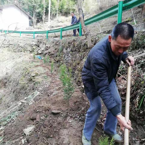 2021年春季植树随感