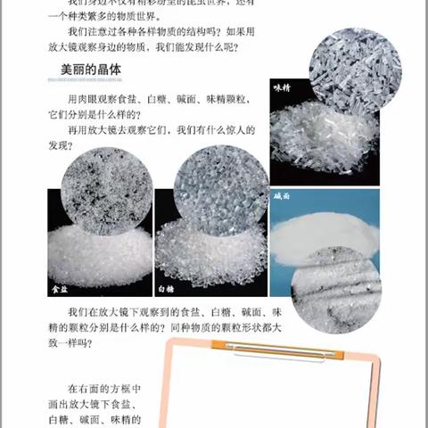 师大二附小线上学习五年级科学第四周第二课时学习指导