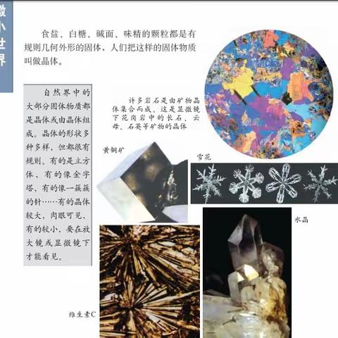 师大二附小线上教学六年级科学第四周第一课时学习指导