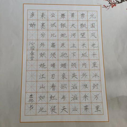 左祐寒假作业四五六周