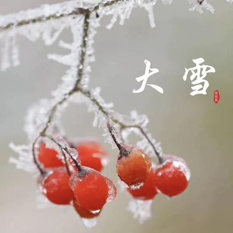 【四维小学】大雪天初寒，莫负好时光