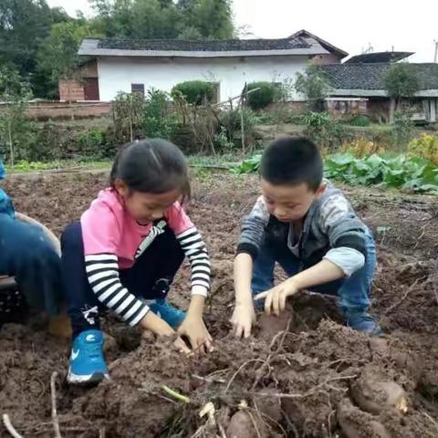 2017重阳节