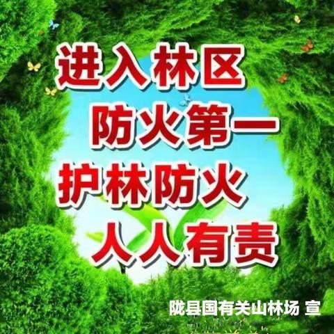 关山林场杏嘴庙管护站：加强林草管护   守护绿水青山