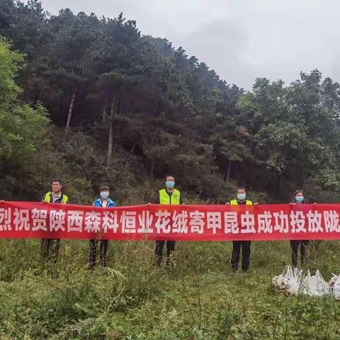 关山林场：释放花绒寄甲成虫，守护林业生态安全