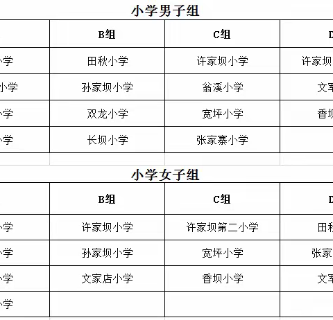 2019思南县校园足球联赛抽签分组、竞赛日程出炉！！