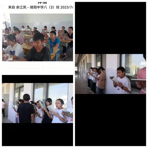 勤学苦练谱新篇 立德树人为己任   ___陵阳中学八(3)班暑期延时服务汇报