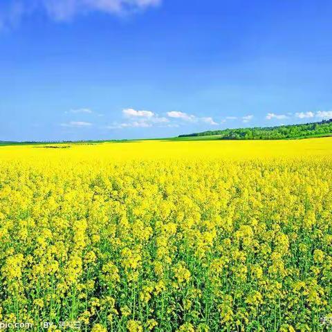 爱我达拉特，假期文明行――记达旗第十小学二年级七班假期实践活动