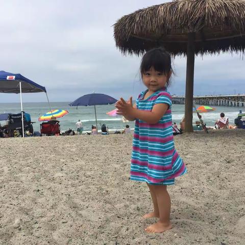 周末的海边沙滩......