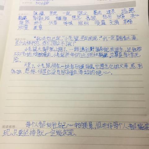 2月1日市直二小404班第三小组寒假作业展示