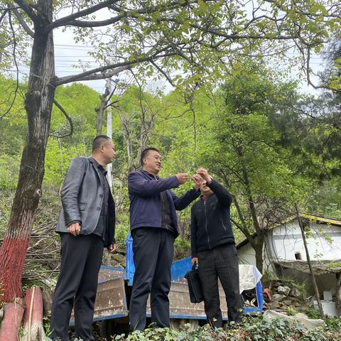 宋坪管护站一周工作动态